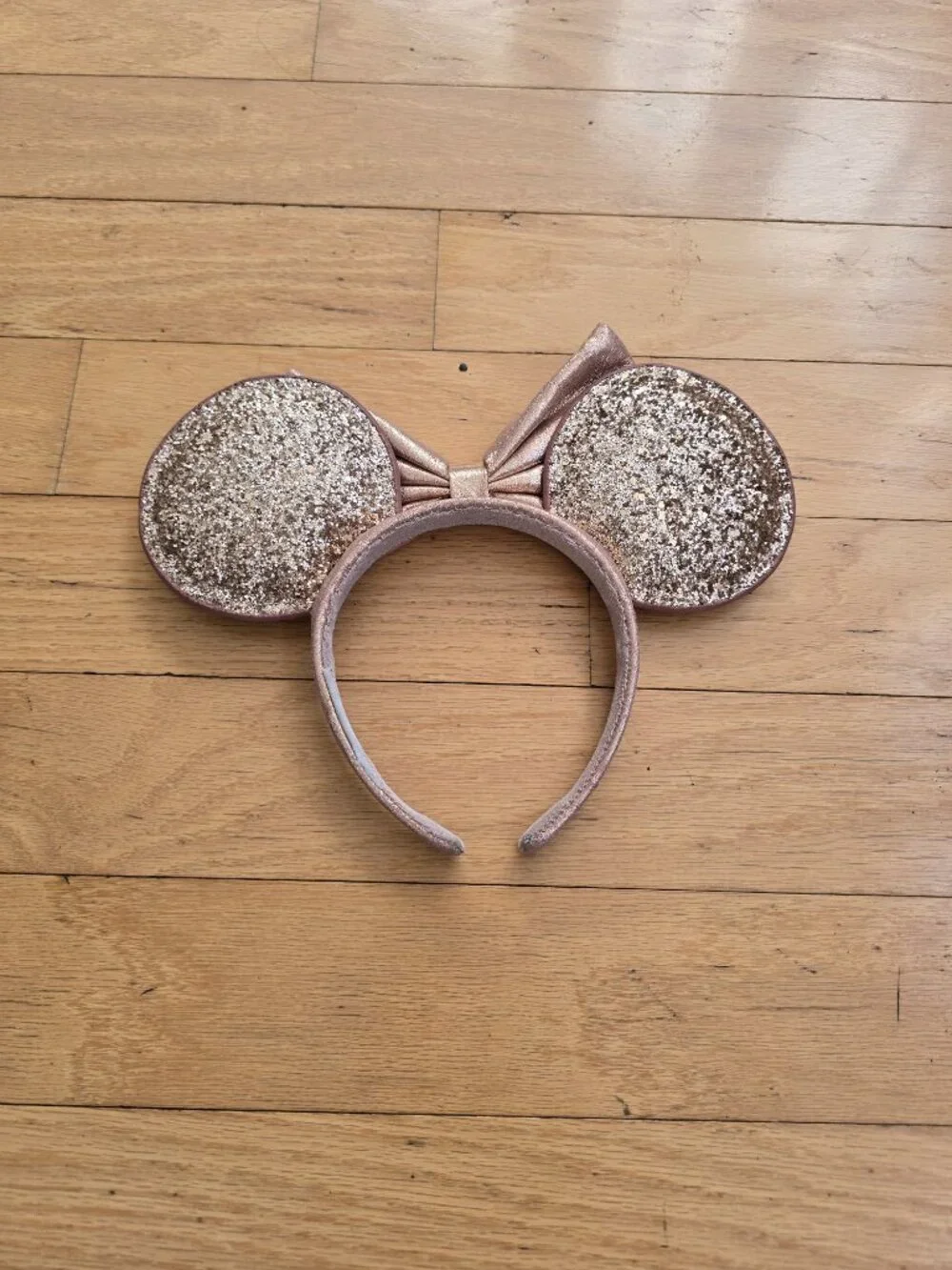 Disney parks minnie
